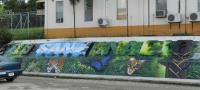 San Ignacio town mural